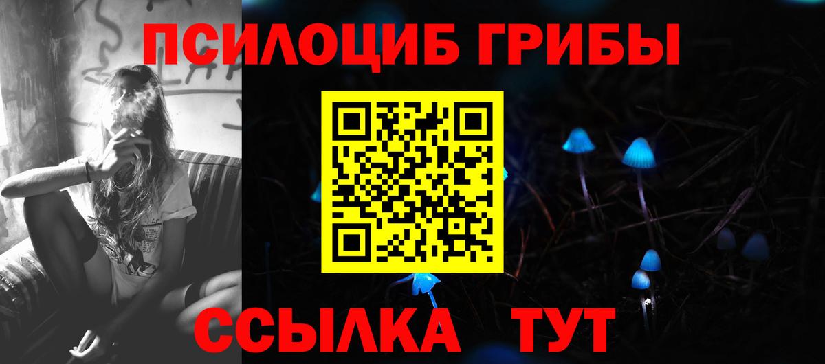 Галлюциногенные грибы MAGIC MUSHROOMS  Вход с VPN  Назарово 